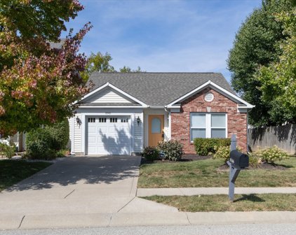 8546 Gold Rush Way, Camby