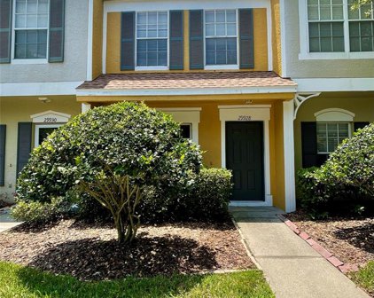 29928 Alta Vita Lane, Wesley Chapel