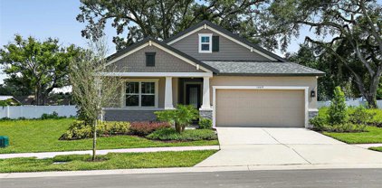 1009 Davis Heather Circle, Seffner