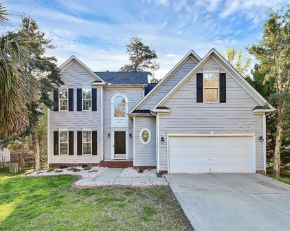 207 Whitegrove  Drive, Fort Mill