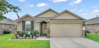 9927 Southern Bayberry Drive, Tomball