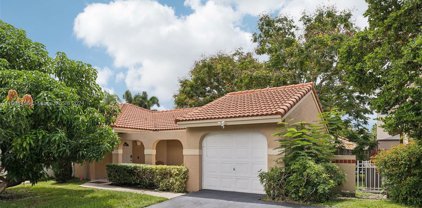 1350 Seagrape Cir, Weston