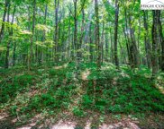 Lot 36 Marta Lane, Zionville image