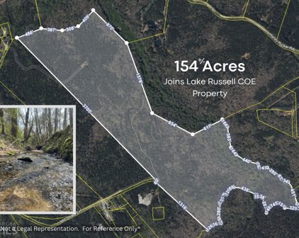 154 ACRES Mill, Elberton