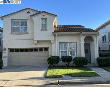 5140 San Viciente Ter, Dublin
