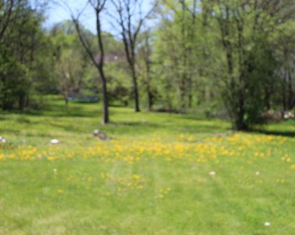 328 Harwich Place, Rockton