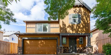 232 Bridle Springs St, Albany