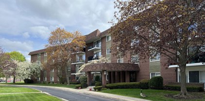 1025 S Fernandez Avenue Unit #3G, Arlington Heights