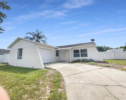 1009 Sagamore Drive, Seffner