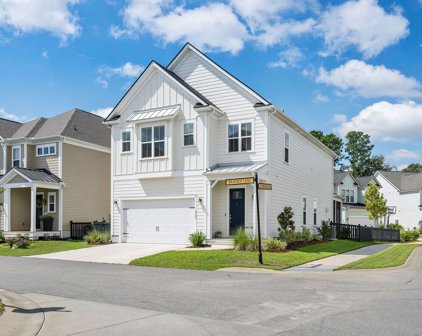 2282 Braided Lane, Mount Pleasant