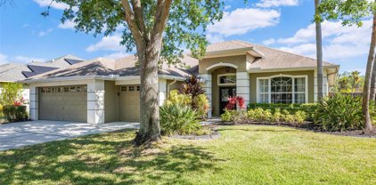 10718 Tavistock Drive, Tampa