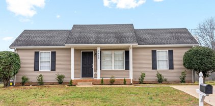 3410 Sandpiper Dr, Clarksville