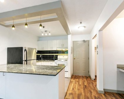 715 Royal Avenue Unit 508, New Westminster