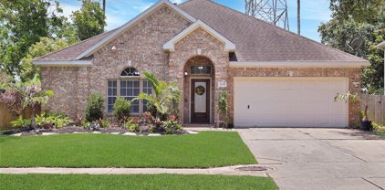 1239 Willow Branch Drive, League City