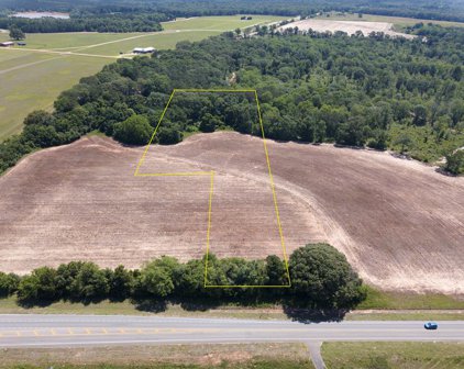 7 acres Highway 167, New Brockton