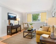 423 W 31st Street Unit #001, Minneapolis image