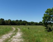 4003 County Road 197, Alvin image