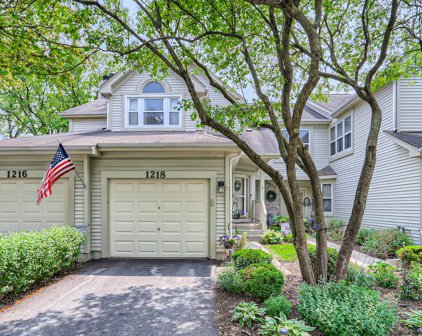 1218 Tennyson Lane, Naperville