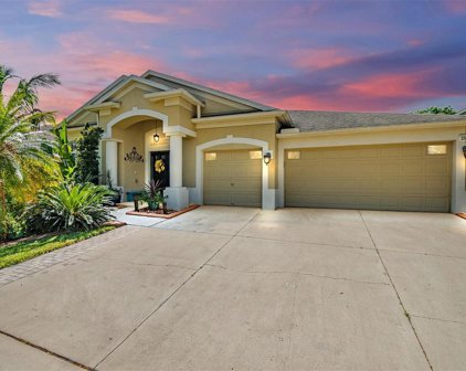 3531 Fortingale Drive, Wesley Chapel