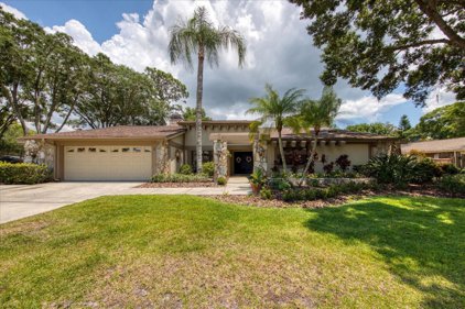 3332 Pattie Place, Palm Harbor