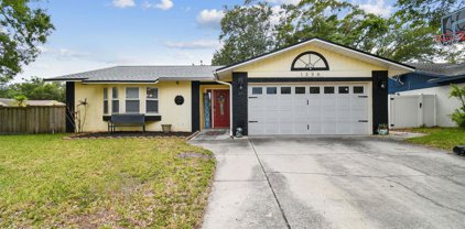 1336 Homestead Drive, Palm Harbor