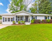 893 Randall Drive, Mount Pleasant image