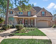 1306 Roseberry Manor Drive, Spring image
