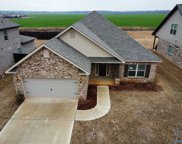 241 Holt Street, Meridianville image