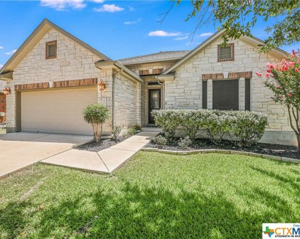 2808 Plantation Drive, Round Rock