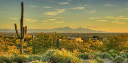 5180 N Camino Antonio Unit #5, Tucson
