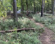 Dunbar Dell Rd, Clarksville image