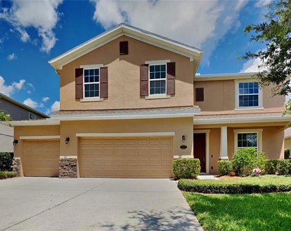 319 Orchard Hill Street, Deland