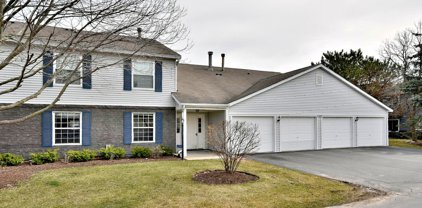 690 Thorntree Court Unit #C1, Bartlett