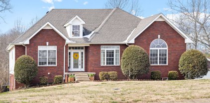 1128 Rustling Oaks Dr, Pleasant View