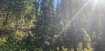 Nhn Hope Valley  Lot 8 & 9 Road, Trout Creek