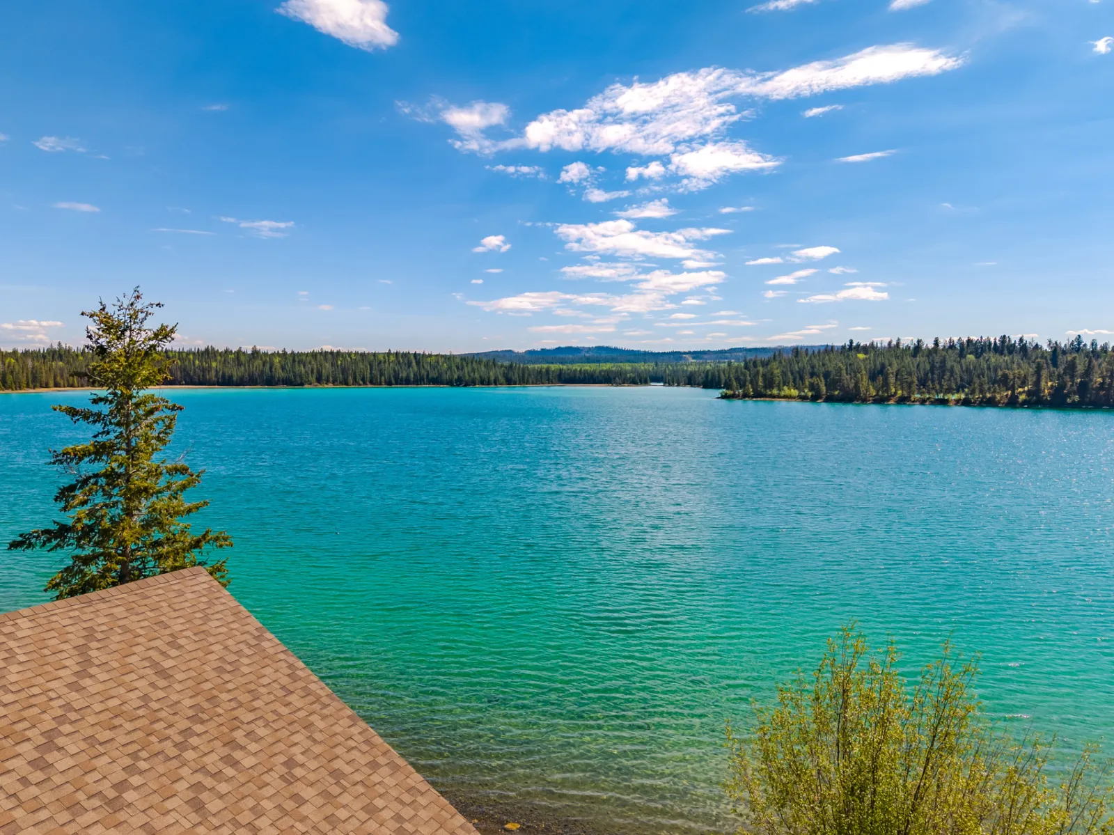 Lake view over Green Lake with shoreline trees