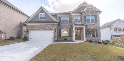 3756 Andover Way, Buford
