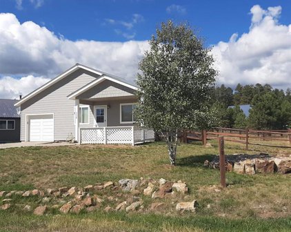 228 Saddle, Pagosa Springs