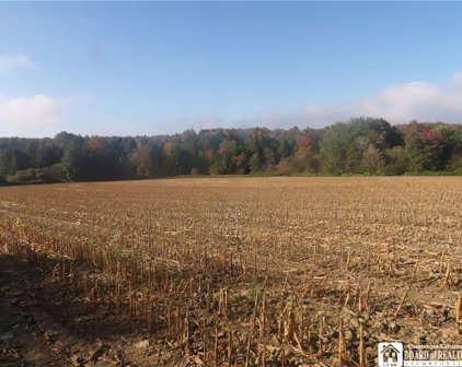 Cabbage Hill Rd, French Creek