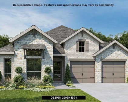 526 Prickly Poppy Loop, Kyle