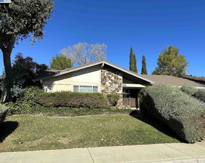 1538 De Soto Way, Livermore