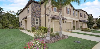 8531 Reedville Street, New Port Richey