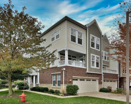530 Grove Lane, Forest Park