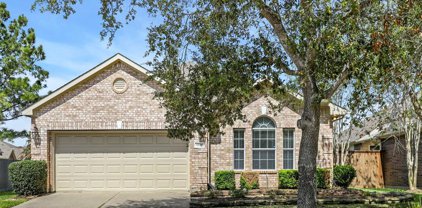 1221 N Riviera Circle, Pearland