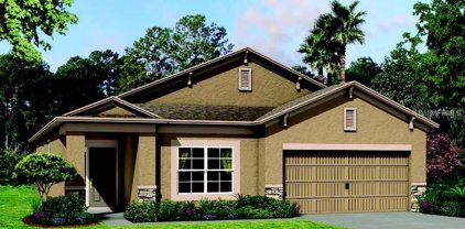 31582 Holton Court, Wesley Chapel