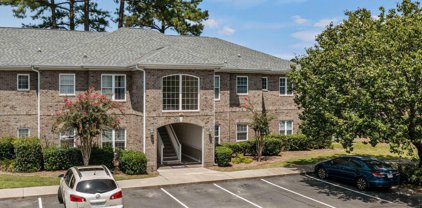 300 Willow Green Dr. Unit H, Conway