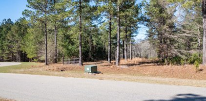 1120 Sunset Cove, Tignall