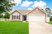 461 Dove Tail Ct., Longs image