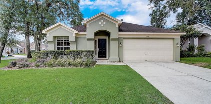 309 Oak Park Place, Casselberry