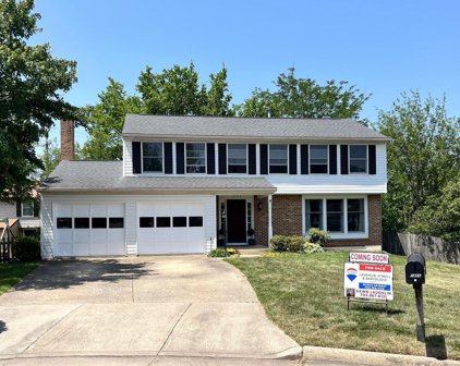5486 Braddock Ridge Dr, Centreville